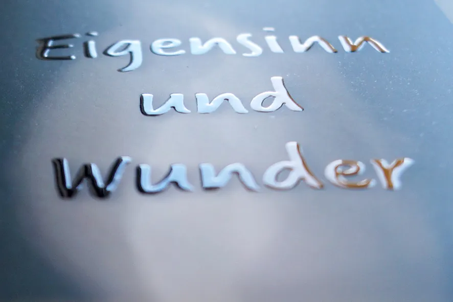 Der Schriftzug „Eigensinn und Wunder“ steht als glänzender, erhabener Lack auf einem matten graublauen Buchcover.